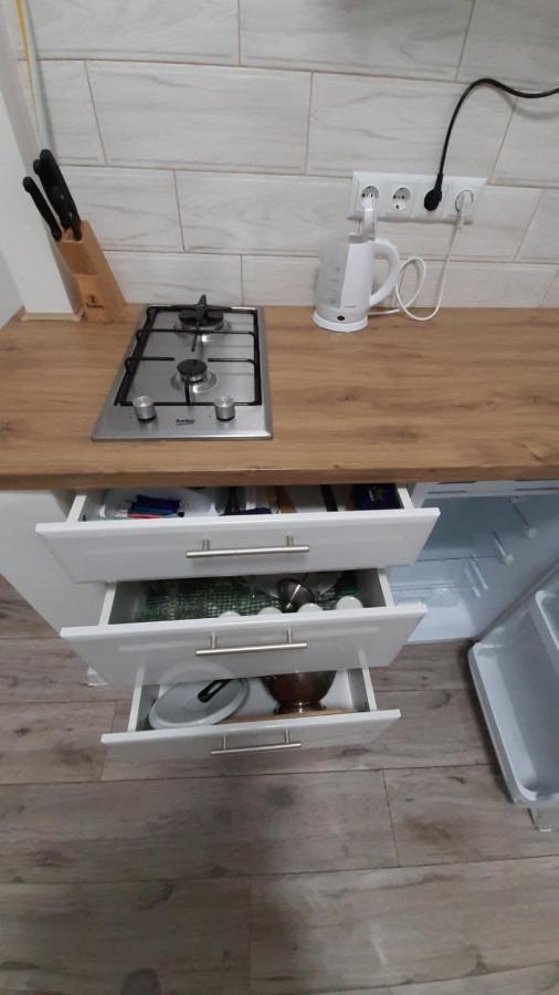 Transfer Apartament І.Franka 59 Lviv Exterior foto